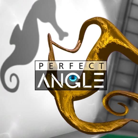 Perfect Angle PS4 Price Türkiye