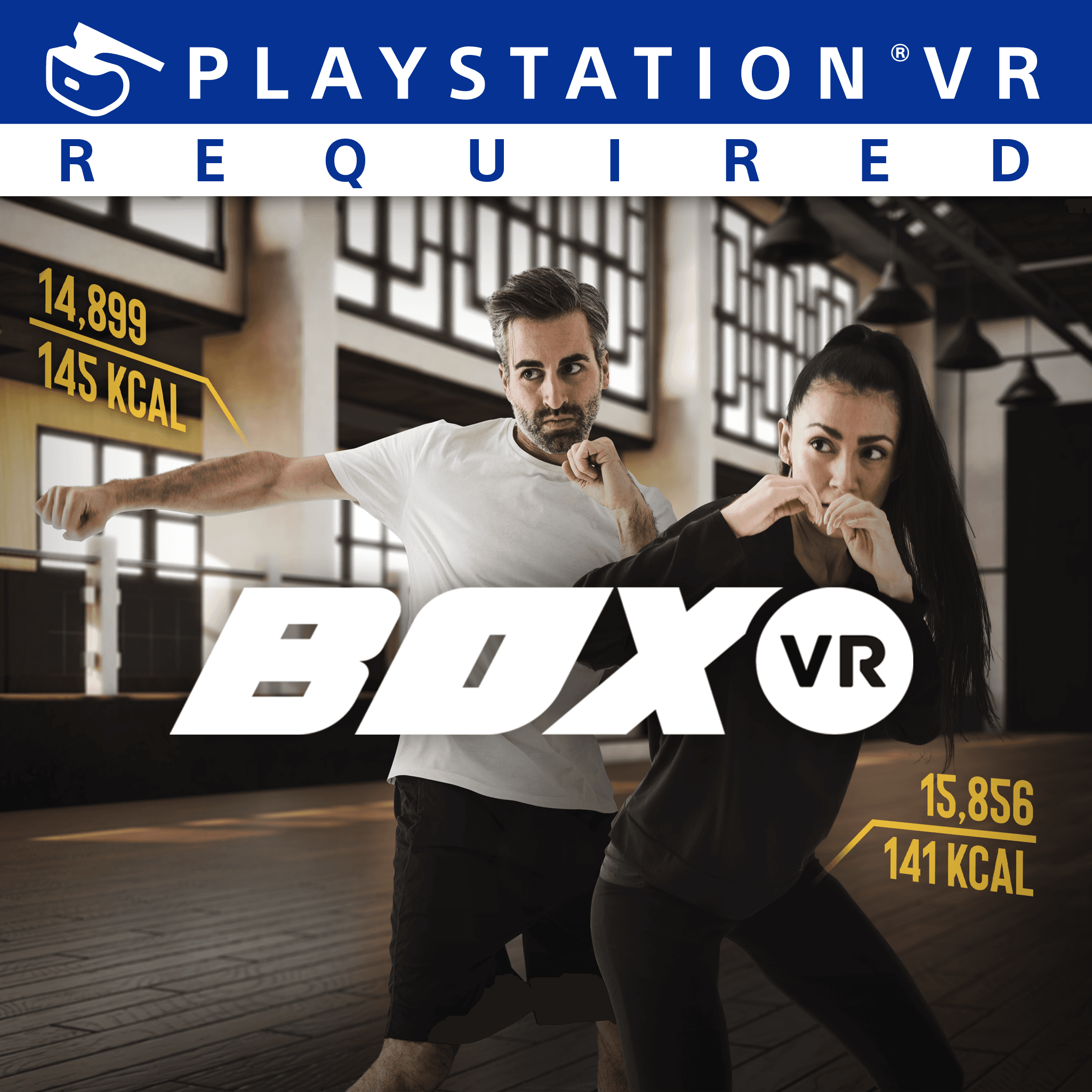 BOXVR PS4 Price Türkiye