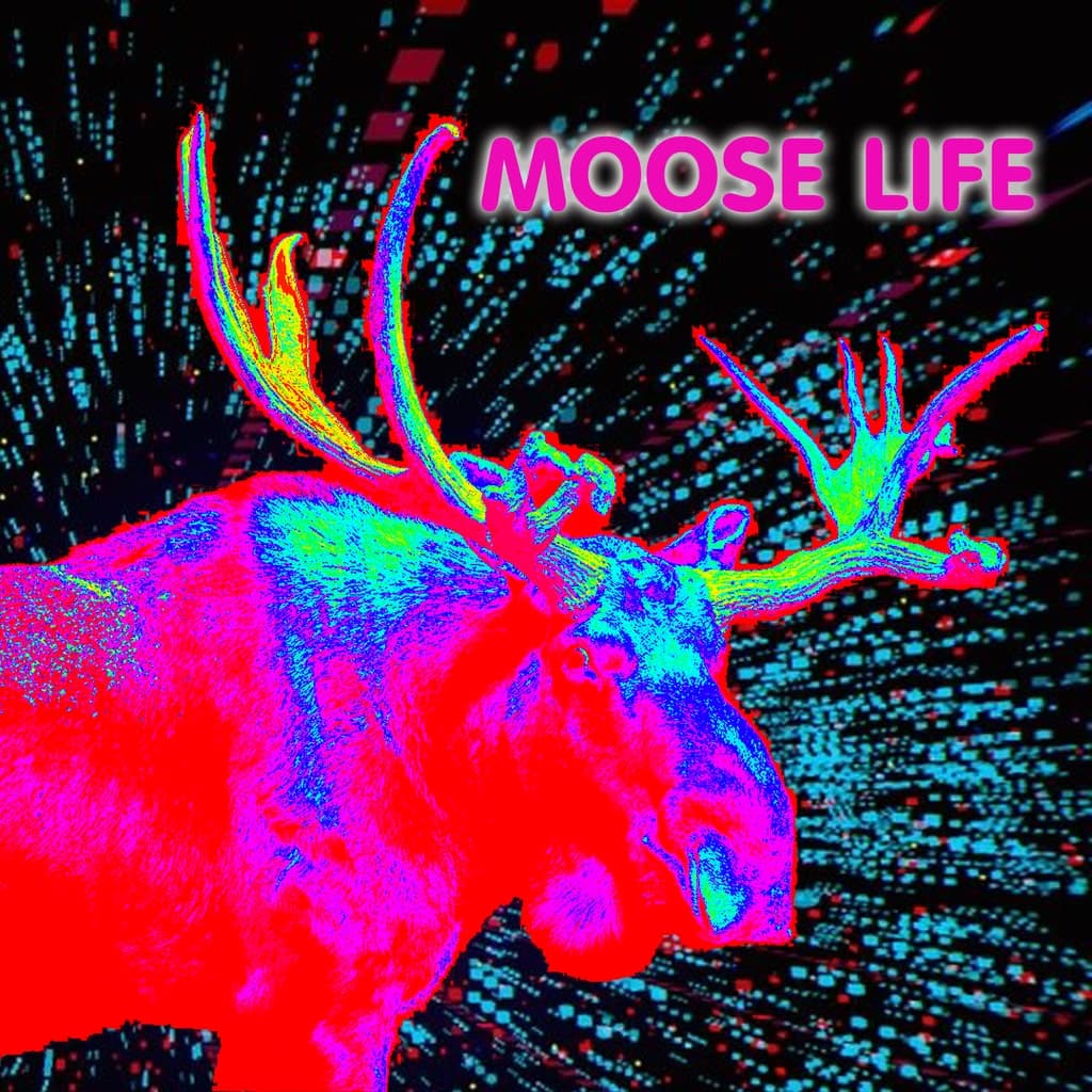 Moose Life PS4 Price Brasil