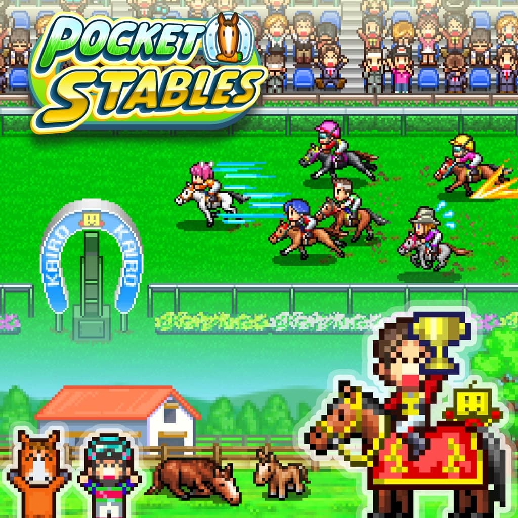 Pocket Stables PS4 Price Türkiye