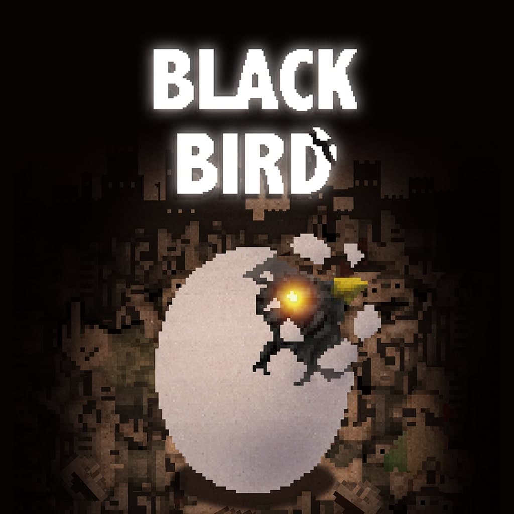 BLACK BIRD PS4 Price Türkiye