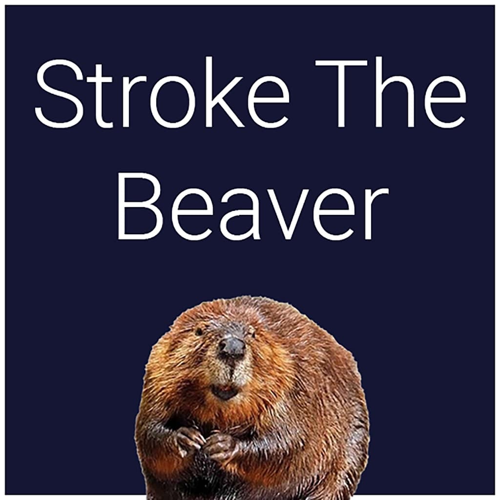 Stroke The Beaver PS4 Price United States
