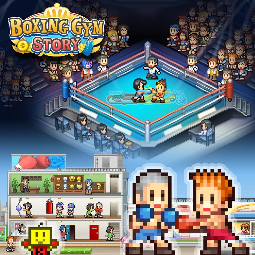 Boxing Gym Story PS4 Price Türkiye