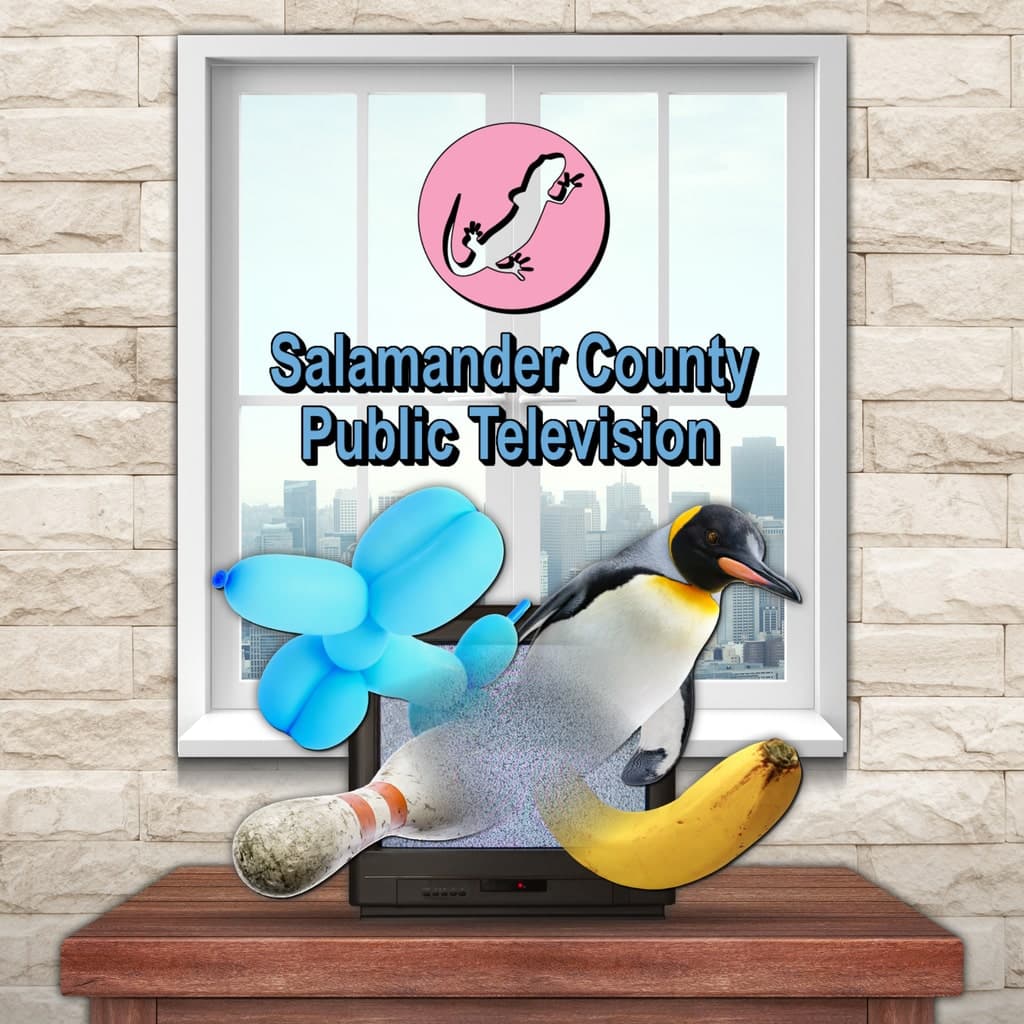 Salamander County Public Television PS4® & PS5® PS4 + PS5 Price Türkiye