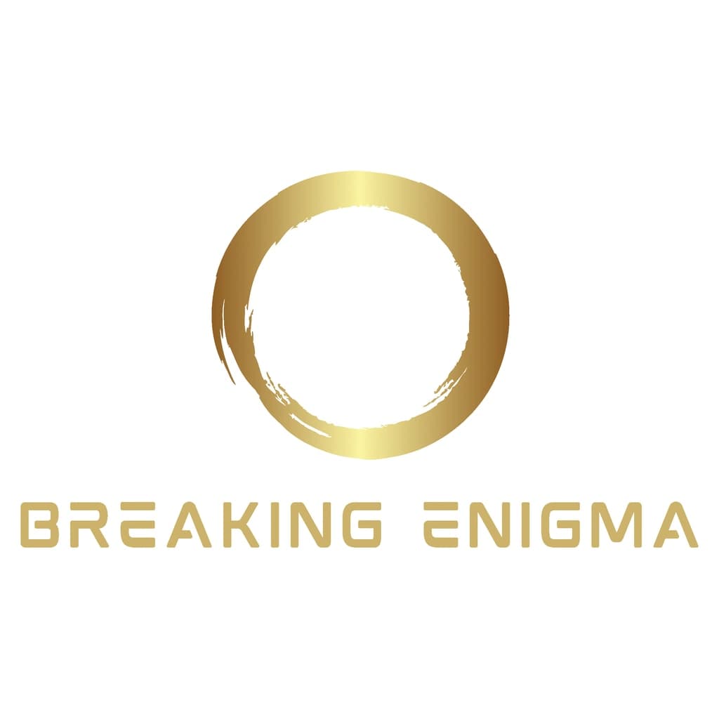 Breaking Enigma PS4 Price Türkiye