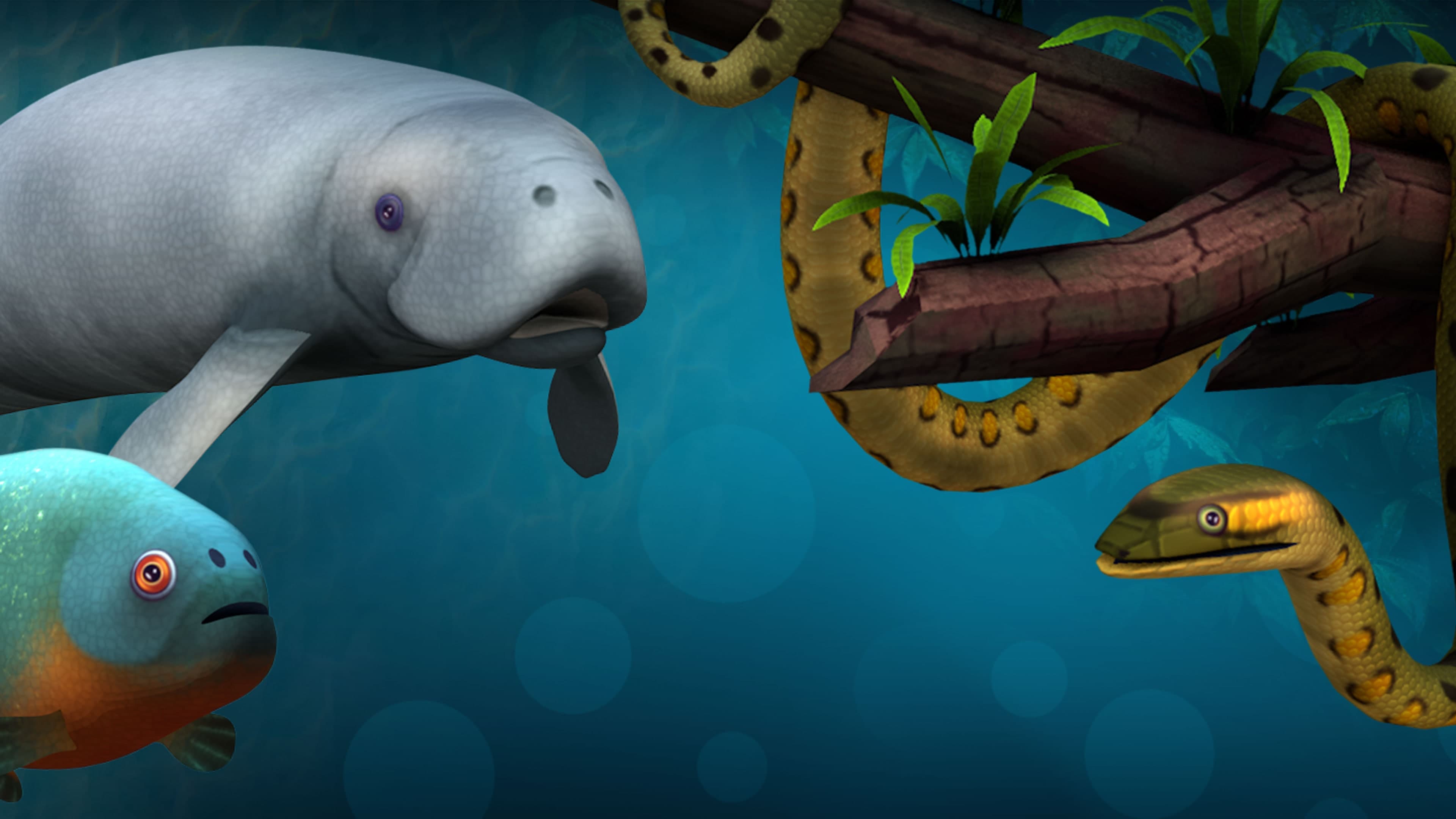 Megaquarium: Freshwater Frenzy PS4 Price New Zealand