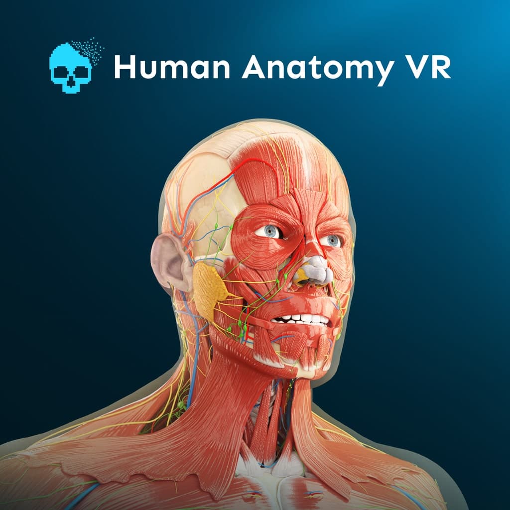 Human Anatomy VR PS5 Price Türkiye