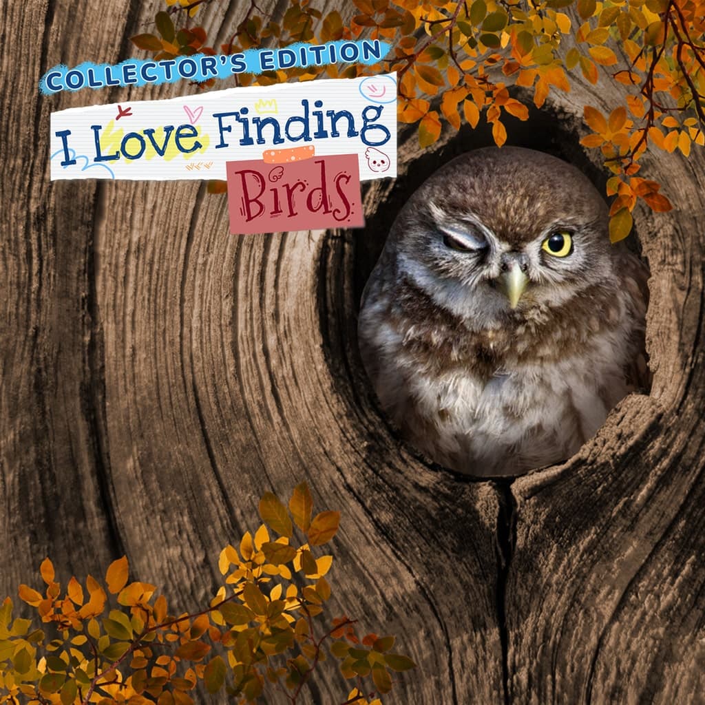 I Love Finding Birds Collector's Edition PS5 Price Türkiye