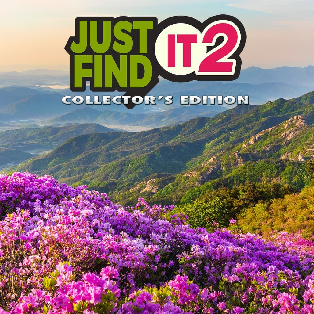 Just Find It 2 Collector's Edition PS5 Price Türkiye