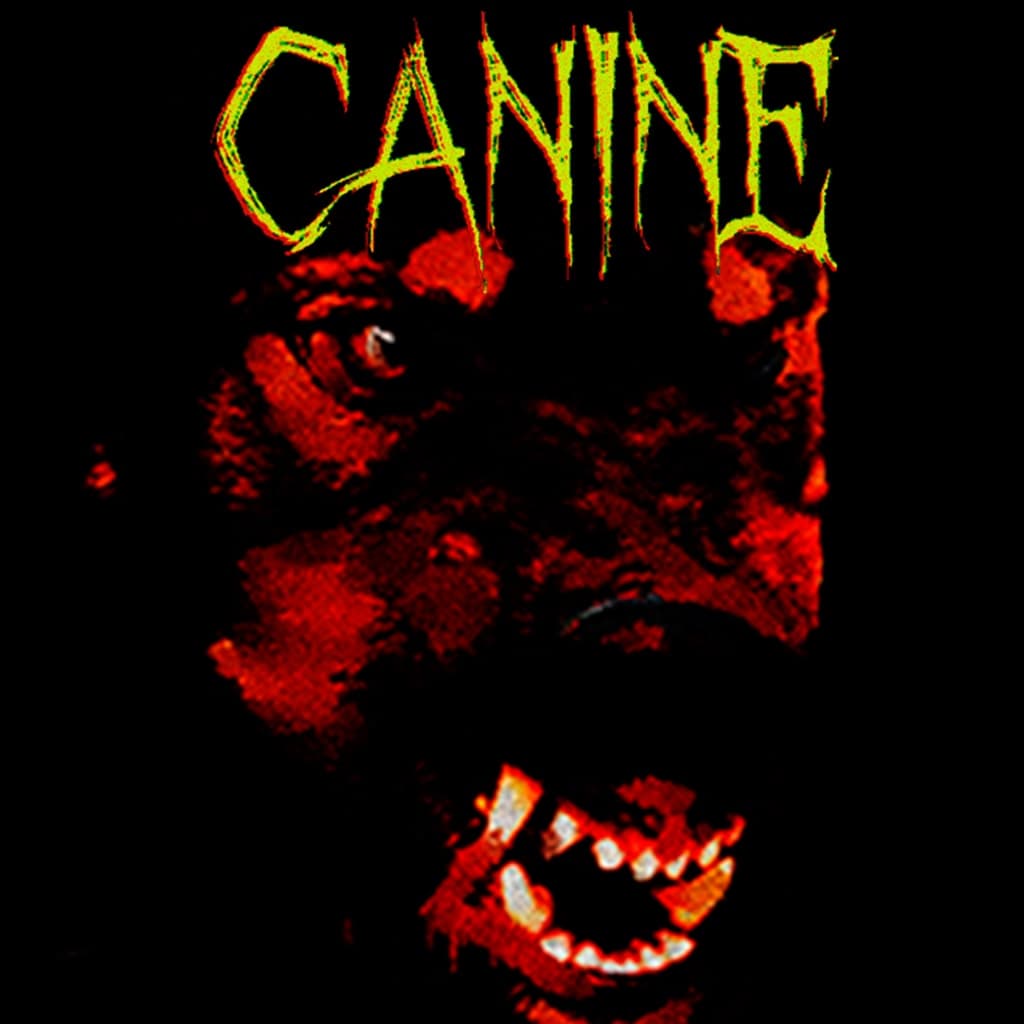 Canine PS5 Price Türkiye