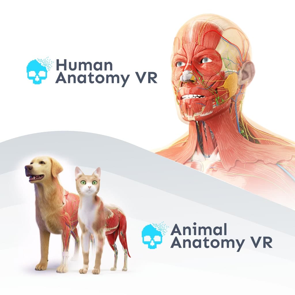 Anatomy VR Bundle PS5 Price España