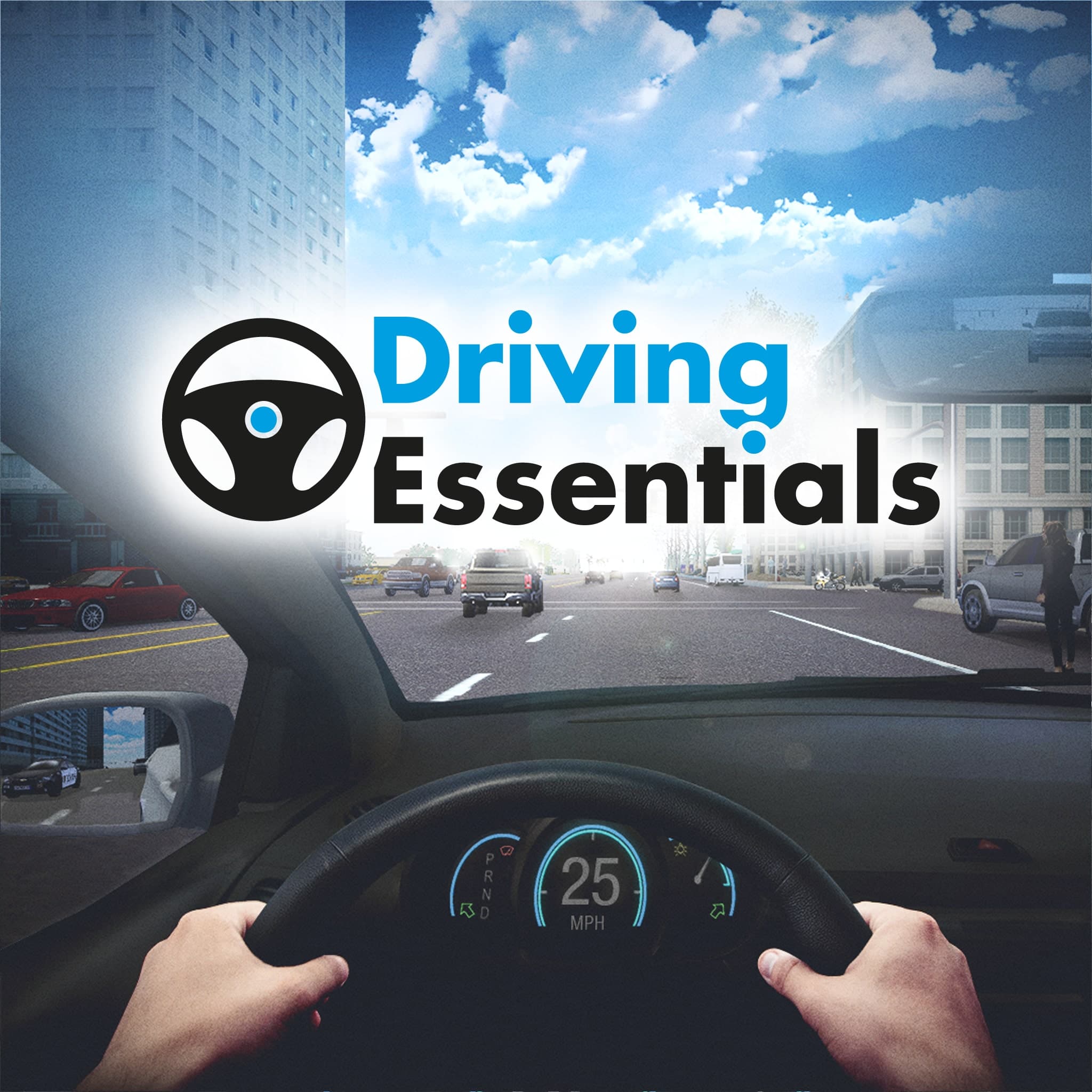Driving Essentials PS4 Price Canada