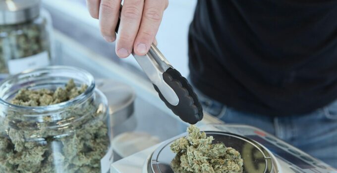 Cannabis Access with Weed Delivery in Georgia